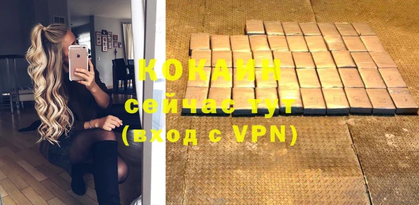 ГАЛЛЮЦИНОГЕННЫЕ ГРИБЫ Сосновый Бор