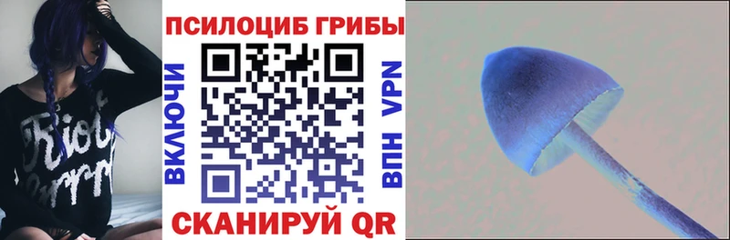 Псилоцибиновые грибы мухоморы  цены   Венёв 
