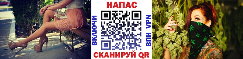 Бошки марихуана сатива  blacksprut рабочий сайт  Венёв  цена наркотик 
